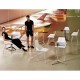 Lot de 4 Chaises Vondom Faz blanc avec piètements transparents et accoudoirs